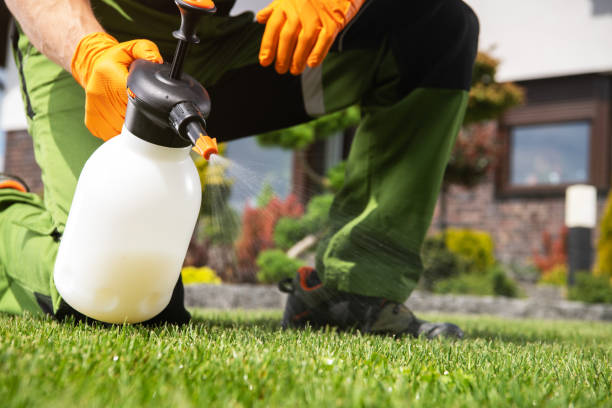 Trusted Port Arthur, TX Pest Control Experts