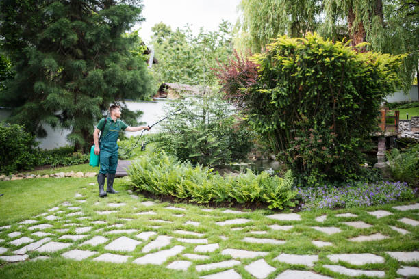 Best Affordable Pest Control Services  in Port Arthur, TX